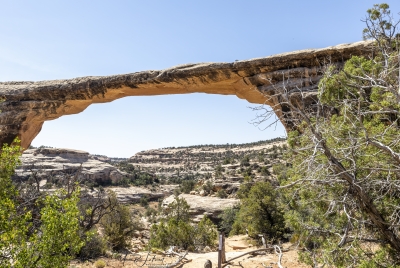 Natural Bridges Preserve June 2025